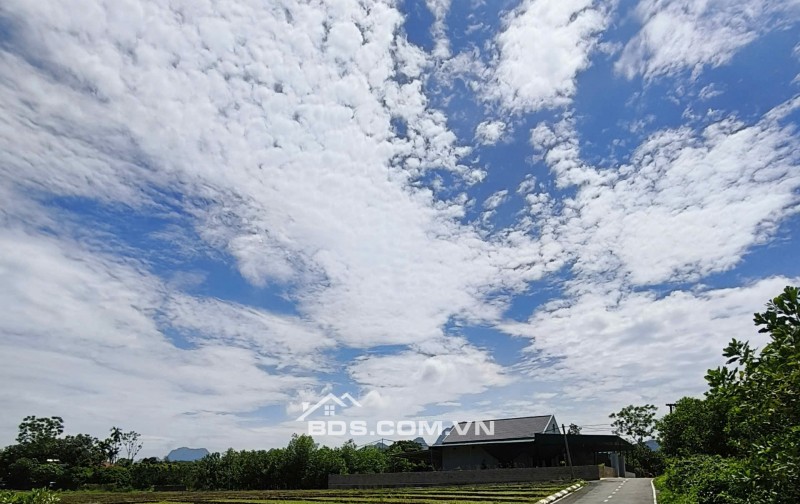 Sở hữu lô đất nền 100 m2 chỉ với 199 triệu/ lô hãy nhanh tay sở hữu ngay khi giá còn mới mở bán