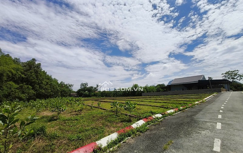 Sở hữu lô đất nền 100 m2 chỉ với 199 triệu/ lô hãy nhanh tay sở hữu ngay khi giá còn mới mở bán