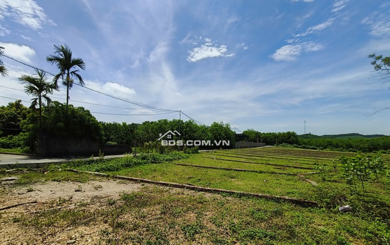 Sở hữu lô đất nền 100 m2 chỉ với 199 triệu/ lô hãy nhanh tay sở hữu ngay khi giá còn mới mở bán