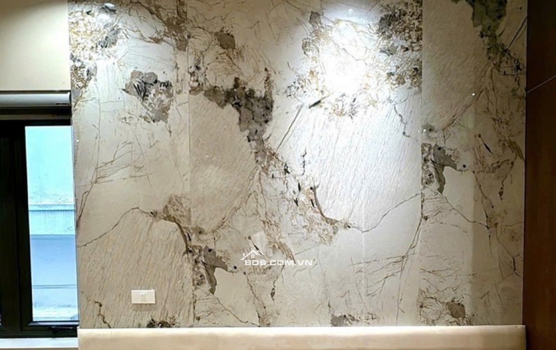 Bán nhà Hoàng Văn Thái – Thanh Xuân | 50m² | 7 tầng | Thang máy | Giá 14x tỷ