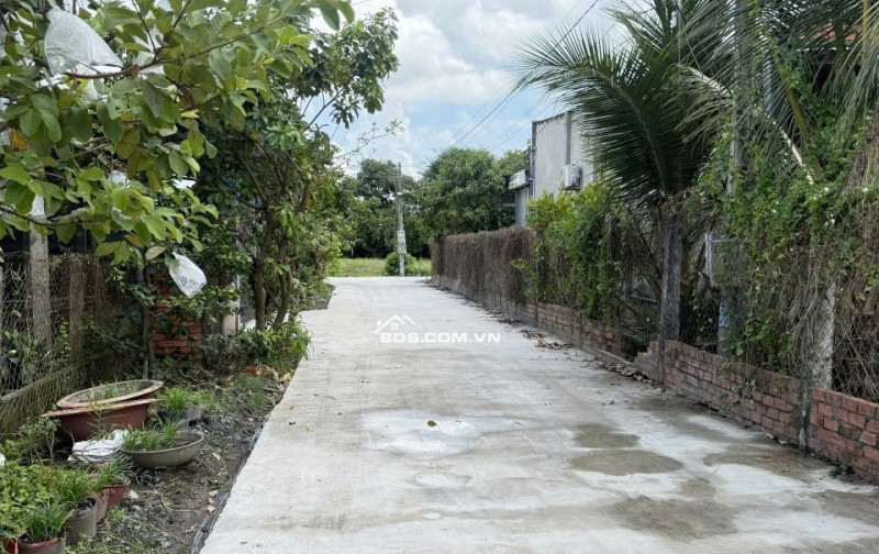 Đất nền Củ Chi - Đường 65 Thái Mỹ - 383.6m2 giá đầu tư chỉ 14tr/m2