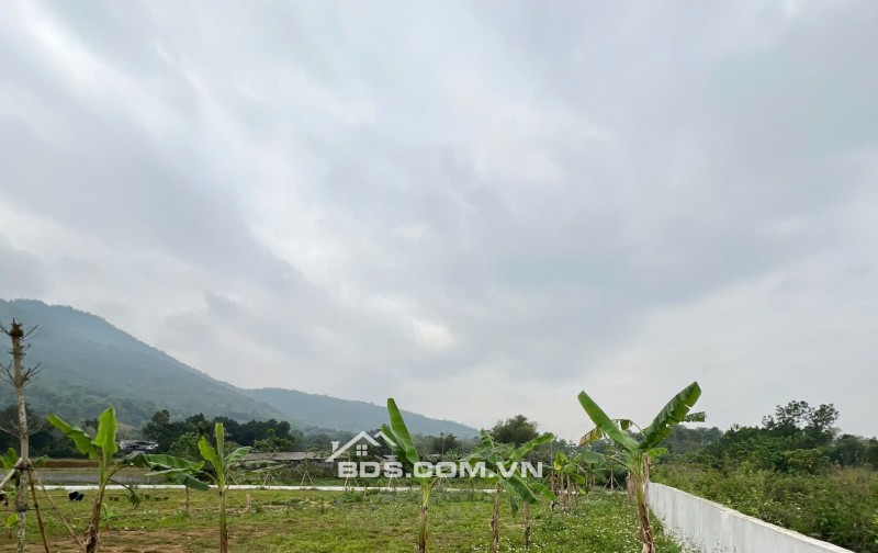 Bán đất đẹp tại Cư Yên, Lương Sơn, Hòa Bình 420m2 giá chỉ 2,5 tỷ