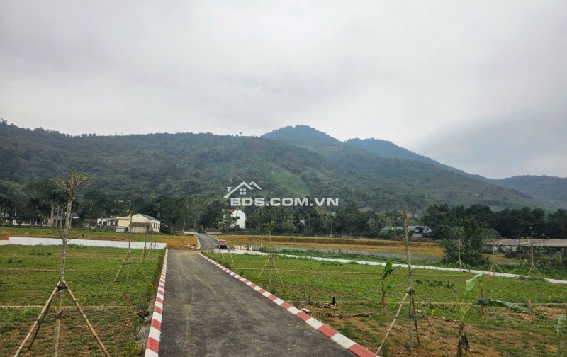 Bán đất đẹp tại Cư Yên, Lương Sơn, Hòa Bình 420m2 giá chỉ 2,5 tỷ