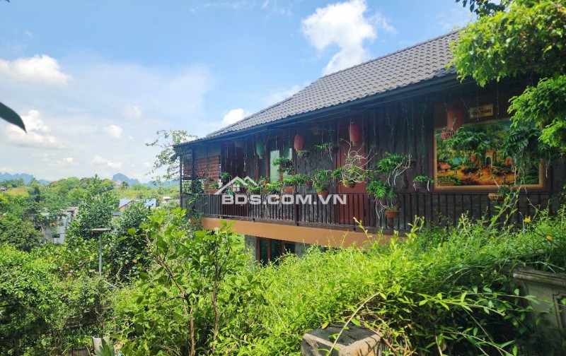 CHUYỂN NHƯỢNG KHUÔN VIÊN NGHỈ DƯỠNG CAO CẤP 2.500m² – CÁCH HÀ NỘI CHỈ 40KM