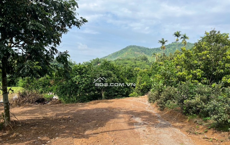 Bán cắt đất thị trấn Lương Sơn, Hòa Bình 1000m2 giá chỉ 3 tỷ