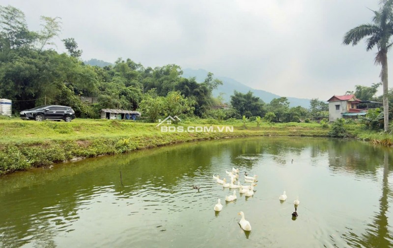 Cần bán 3100m2 có ao View cánh đồng tại Cư Yên, Lương Sơn, Hòa Bình