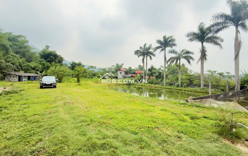 Cần bán 3100m2 có ao View cánh đồng tại Cư Yên, Lương Sơn, Hòa Bình