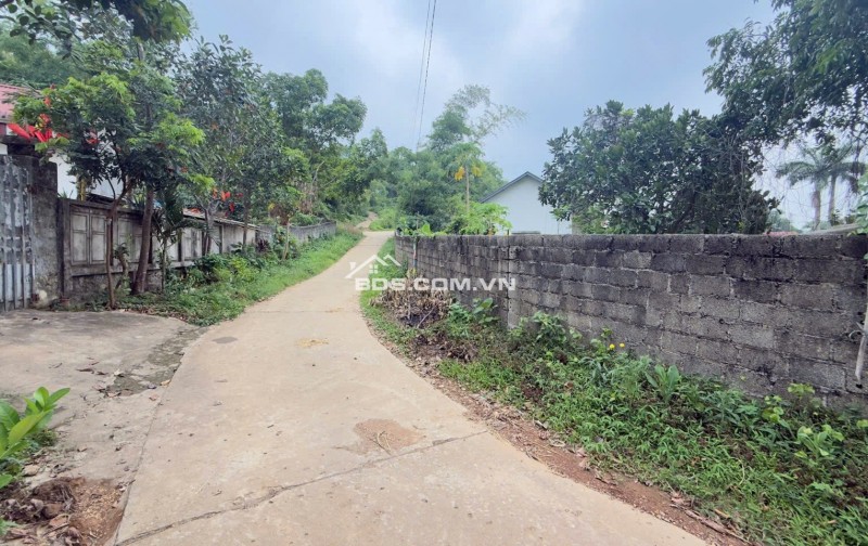Cần bán 3100m2 có ao View cánh đồng tại Cư Yên, Lương Sơn, Hòa Bình
