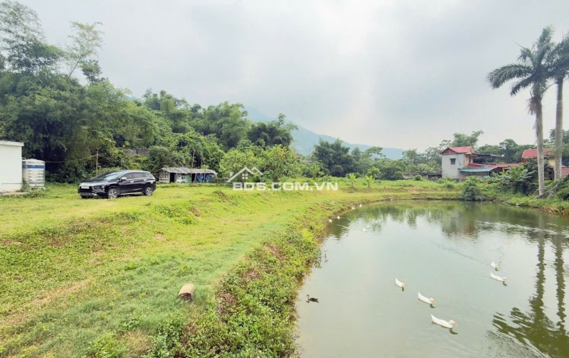 Cần bán 3100m2 có ao View cánh đồng tại Cư Yên, Lương Sơn, Hòa Bình