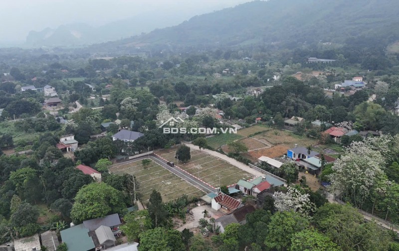 Bán đất phân lô đẹp 2 mặt đường tại Lương Sơn, Hòa Bình diện tích từ 100m2 đến 200m2