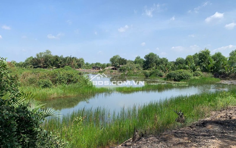 CẦN BÁN 3000M2 ĐẤT NÔNG NGHIỆP TP THỦ ĐỨC, GIÁ 5 TỶ 1 CÔNG. LH:0918372372.