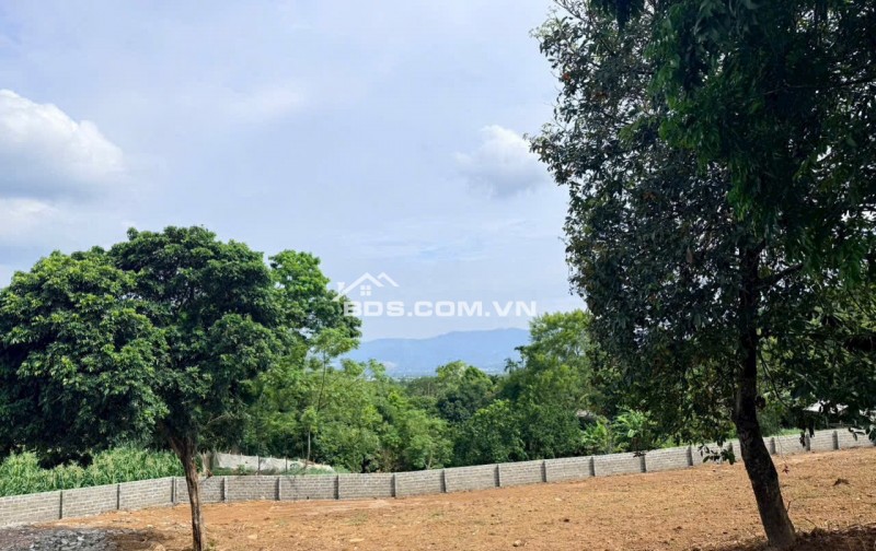 ÁN GẤP 2.000M² ĐẤT SÁT DỰ ÁN NHÀ Ở HÒA SƠN – GIÁ CỰC TỐT