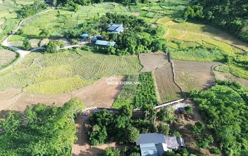 NHỈNH 3 TỶ! SỞ HỮU 1000M2 ĐẤT THỔ CƯ VÀ VƯỜN, TRUNG TÂM THỊ TRẤN LƯƠNG SƠN, VIEW CÁNH ĐỒNG TRIỆU $