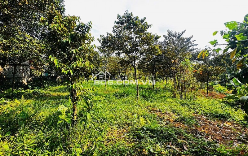 CƠ HỘI SỞ HỮU LÔ ĐẤT 3 MẶT TIỀN VIEW HỒ TẠI LƯƠNG SƠN - HÒA BÌNH
