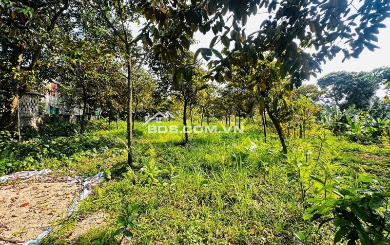 CƠ HỘI SỞ HỮU LÔ ĐẤT 3 MẶT TIỀN VIEW HỒ TẠI LƯƠNG SƠN - HÒA BÌNH