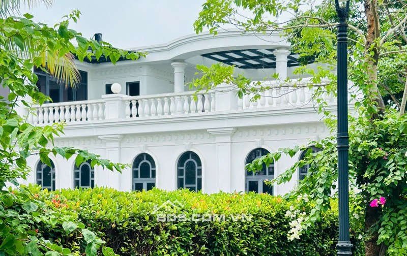  HÉ LỘ PHIÊN BẢN GIỚI HẠN ROSA VILLAS – KHÔNG GIAN SỐNG DÀNH CHO CỘNG ĐỒNG TINH HOA