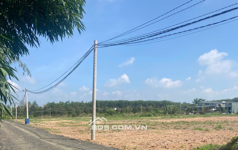 Đất nền Thành Tâm, Chơn Thành