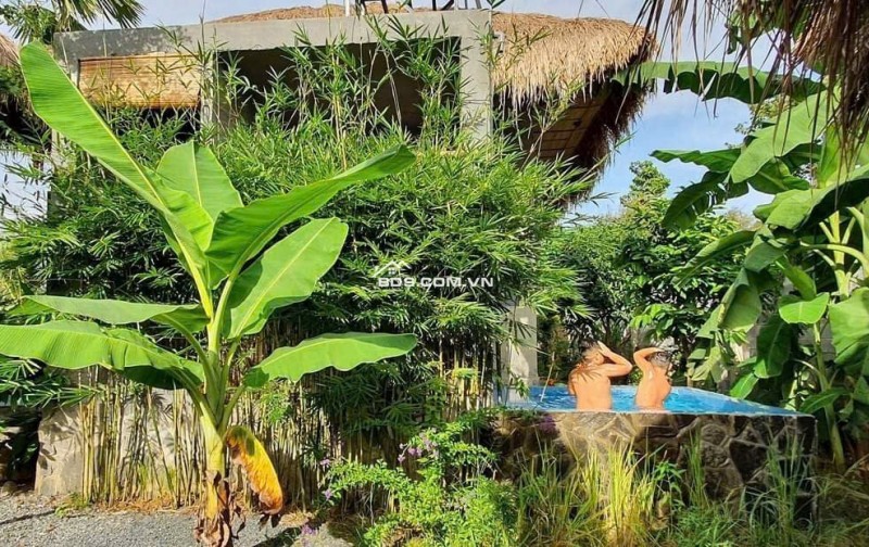 BÁN NHÀ VƯỜN NGHỈ DƯỠNG MẶT TIỀN LONG CHIẾN – 877M² – GIÁ CHỈ 8.5 TỶ