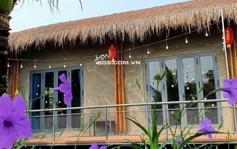 BÁN NHÀ VƯỜN NGHỈ DƯỠNG MẶT TIỀN LONG CHIẾN – 877M² – GIÁ CHỈ 8.5 TỶ