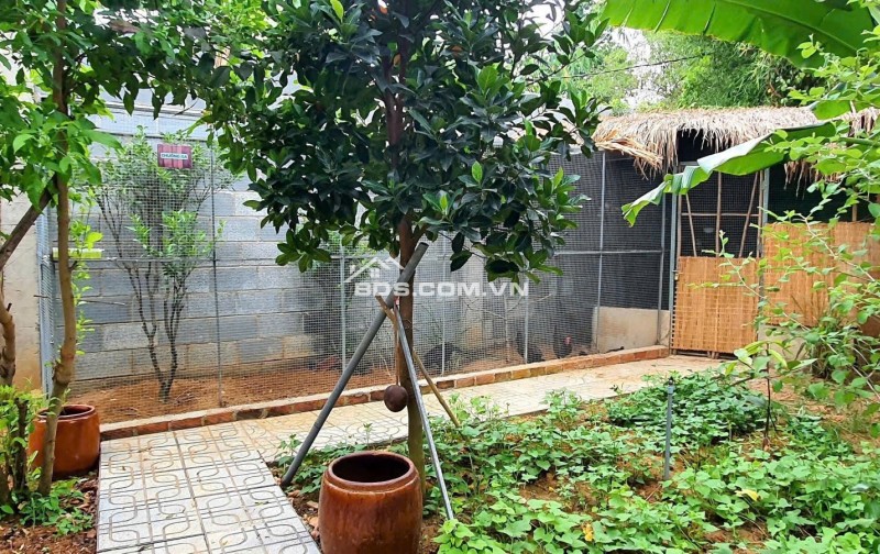 BÁN NHÀ VƯỜN NGHỈ DƯỠNG MẶT TIỀN LONG CHIẾN – 877M² – GIÁ CHỈ 8.5 TỶ