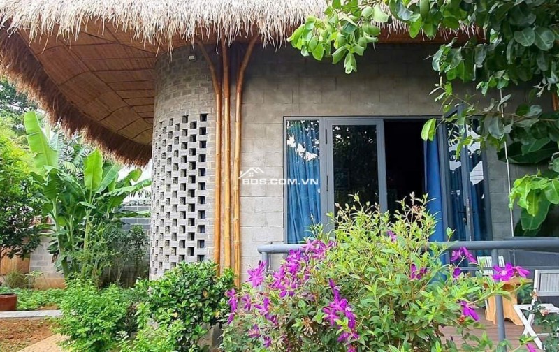 BÁN NHÀ VƯỜN NGHỈ DƯỠNG MẶT TIỀN LONG CHIẾN – 877M² – GIÁ CHỈ 8.5 TỶ