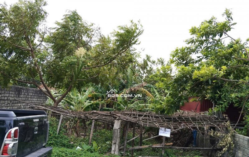 Bán gấp lô đất đẹp,FULL thổ cư,chỉ 5tr/m,trung tâm thị xã Kỳ Anh, Hà Tĩnh- Giá tốt đầu tư,0981888335