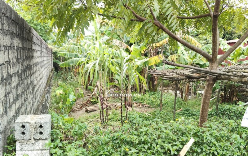 Bán gấp lô đất đẹp,FULL thổ cư,chỉ 5tr/m,trung tâm thị xã Kỳ Anh, Hà Tĩnh- Giá tốt đầu tư,0981888335