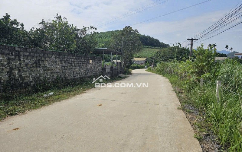 Bán đất tại thị trấn Cao Phong, 1,9 tỷ, 952 m2, mặt tiền 20m, pháp lý đầy đủ