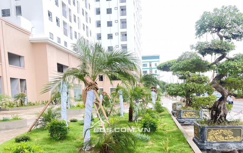 Bán căn hộ 2 ngủ  hướng Đông Nam,chung cư Bình An Plaza Thanh Hóa