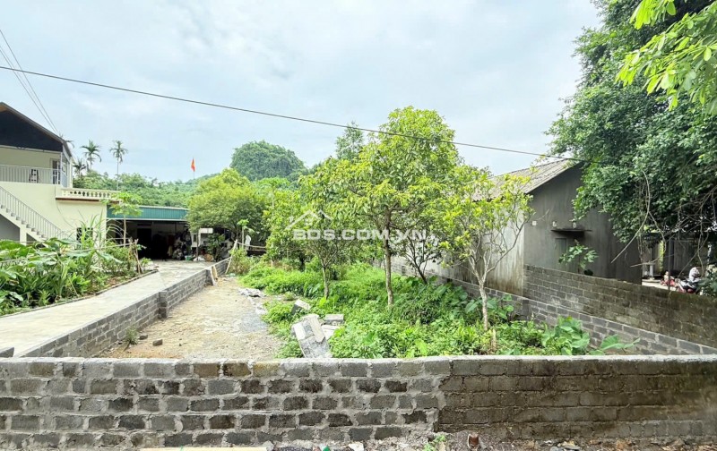 BÁN ĐẤT MẶT ĐƯỜNG TRỤC CHÍNH TÂN VINH 251m2 – VỊ TRÍ ĐẸP KINH DOANH TỐT
