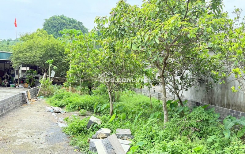 BÁN ĐẤT MẶT ĐƯỜNG TRỤC CHÍNH TÂN VINH 251m2 – VỊ TRÍ ĐẸP KINH DOANH TỐT