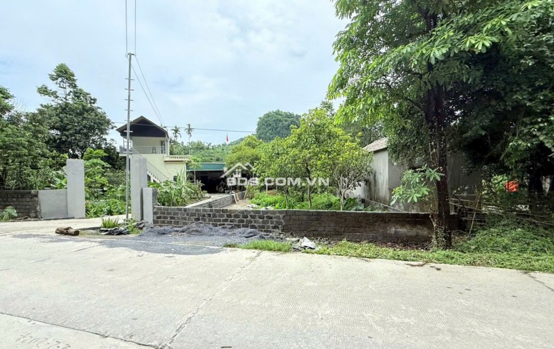 BÁN ĐẤT MẶT ĐƯỜNG TRỤC CHÍNH TÂN VINH 251m2 – VỊ TRÍ ĐẸP KINH DOANH TỐT