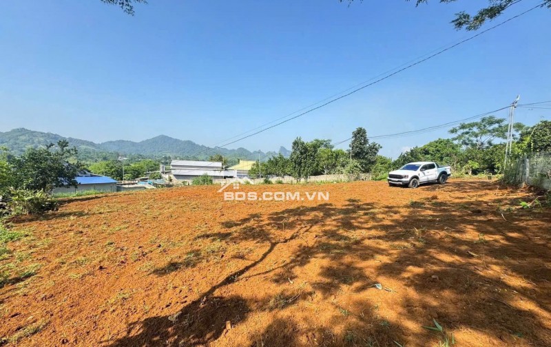 Bán đất Cao Phong, Hòa Bình 976m2 full thổ cư, view đẹp giá siêu rẻ chỉ 950tr