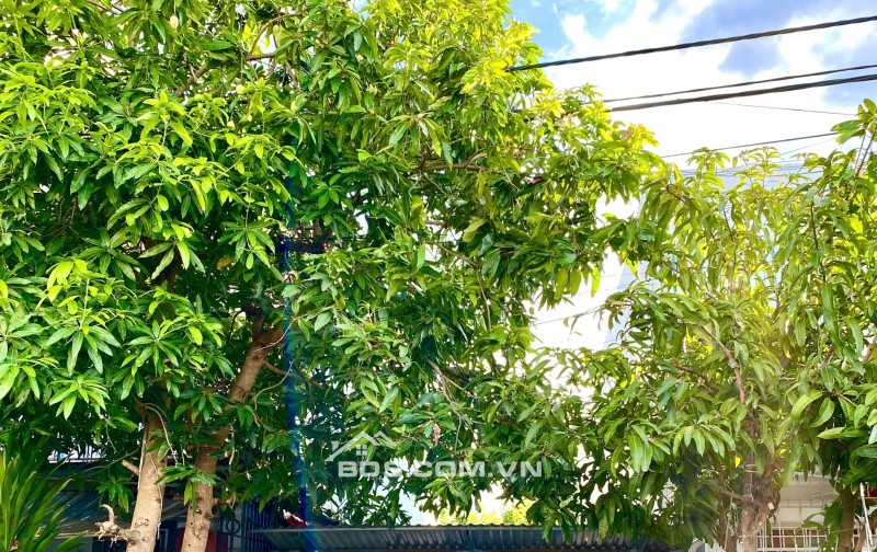 Chào bán Nguyễn Hữu Hào - Nam Việt Á, gần ngã tư Mạc Cử, đối lưng trục chính Đoàn Khuê