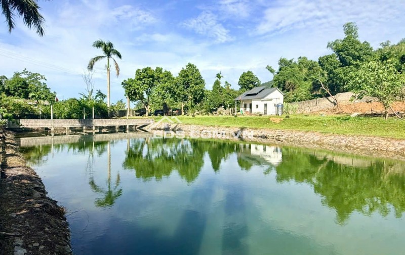BÁN MẢNH ĐẤT TUYỆT ĐẸP CÓ AO VIEW CÁNH ĐỒNG TAI LƯƠNG SƠN HÒA BÌNH