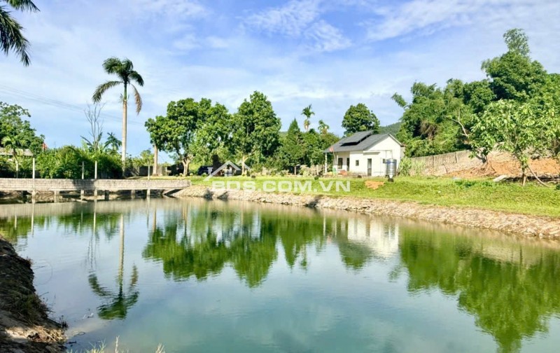 BÁN MẢNH ĐẤT TUYỆT ĐẸP CÓ AO VIEW CÁNH ĐỒNG TAI LƯƠNG SƠN HÒA BÌNH