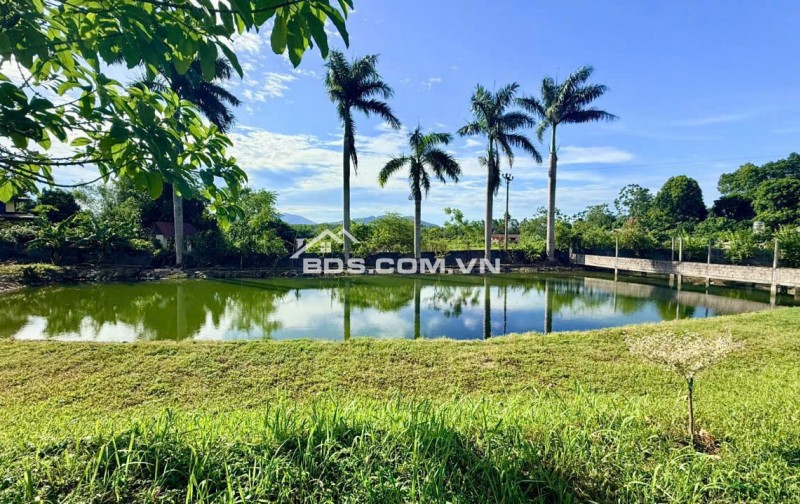 BÁN MẢNH ĐẤT TUYỆT ĐẸP CÓ AO VIEW CÁNH ĐỒNG TAI LƯƠNG SƠN HÒA BÌNH