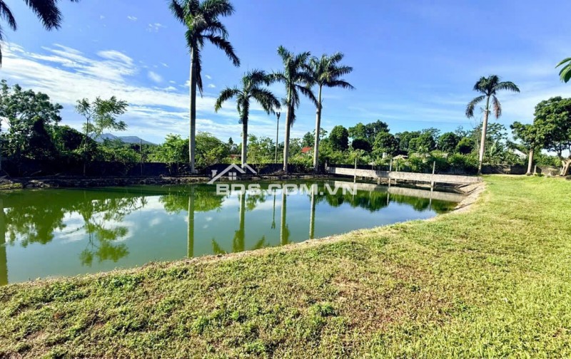 BÁN MẢNH ĐẤT TUYỆT ĐẸP CÓ AO VIEW CÁNH ĐỒNG TAI LƯƠNG SƠN HÒA BÌNH