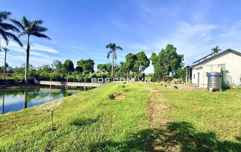 BÁN MẢNH ĐẤT TUYỆT ĐẸP CÓ AO VIEW CÁNH ĐỒNG TAI LƯƠNG SƠN HÒA BÌNH