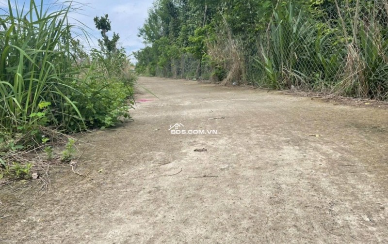 Hiếm Có 5119m đất Có 48m Mặt Tiền Nhựa 100m2 Thổ Cư Giá Rẻ