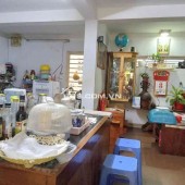 Nhà Nguyễn Du, Phường Hạnh Thông,Q Gò Vấp.