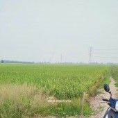 BÁN ĐẤT TÂN THẠNH, LONG AN – TDT 44000 M2 – SHR - 15 TỶ. LH:0989327777 - MR.QUỐC