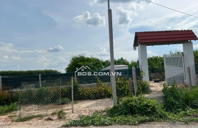 Đất bán ngang 23m x dài 133m diện tích 3,044.60 m2,khu phố Lộc Vĩnh, Phường An Tịnh, Thị xã Trảng Bàng ( cũ), Tỉnh Tây Ninh