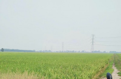 BÁN ĐẤT TÂN THẠNH, LONG AN – TDT 44000 M2 – SHR - 15 TỶ. LH:0989327777 - MR.QUỐC