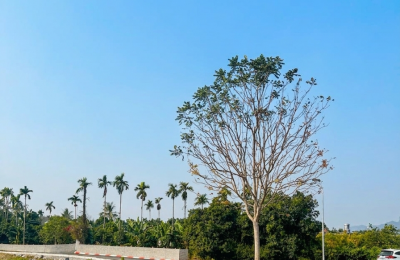 nhanh tay để sở hữu ngay sản phẩm đất nền tại An Nghĩa Phú thọ