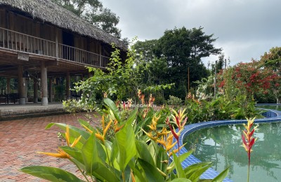 CHUYỂN NHƯỢNG HOẶC ĐẦU TƯ HỢP TÁC MÔ HÌNH HOMESTAY BÀ RỊA VŨNG TÀU