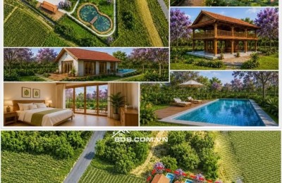 Bán gấp đất gò cà xã Phước Thuận( nay thuộc xã Hồ Tràm , Tphcm)
