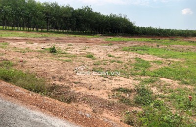 BÁN 2 SÀO ĐẤT 2.000M2 CÓ SHR, DÂN ĐÔNG GẦN TỈNH LỘ