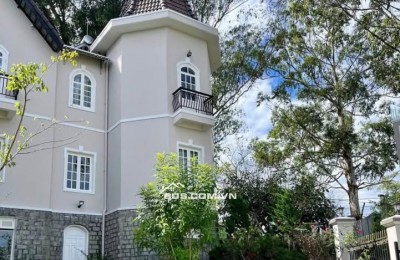 bán biệt thự bạch đàn trắng view cao xinh đẹp chỉ 25 tỷ