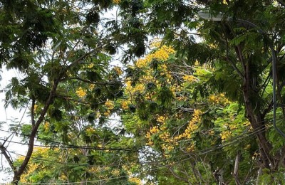 BÁN NHÀ ĐẸP KHU TÁI ĐỊNH CƯ ĐẤT LÀNH – NAM NHA TRANG